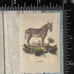 🌀10/$10🌀 Classic Grassland Animals Reusable Washi Sticker Decal